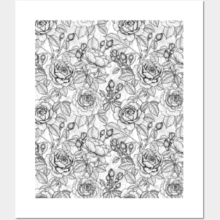 Roses on black and white Posters and Art